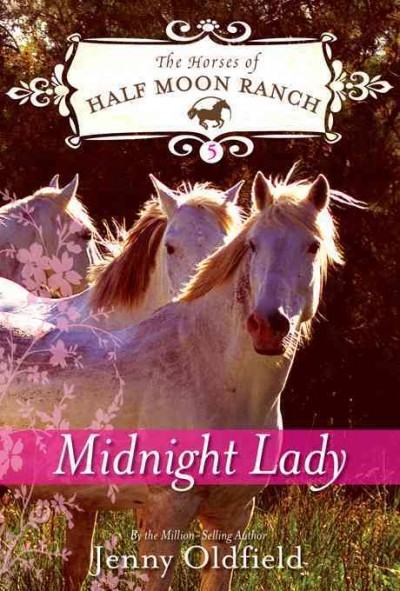 Midnight Lady / by Jenny Oldfield ; illustrated by Paul Hunt.