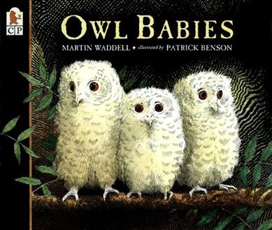 Owl babies / written by Martin Waddell ; illustrated by Patrick Benson.