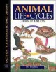Animal life cycles : growing up in the wild  Cover Image