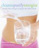 Cleansepurifyenergize : sensible detox strategies to improve your whole health  Cover Image