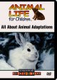 All about animal adaptations Cover Image