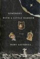 Somebody with a little hammer : essays  Cover Image