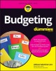 Budgeting for dummies  Cover Image