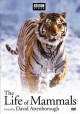 The life of mammals DVD# 907  Cover Image